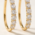 FORTE Ohrring und 3 Karat in Gelbgold 585